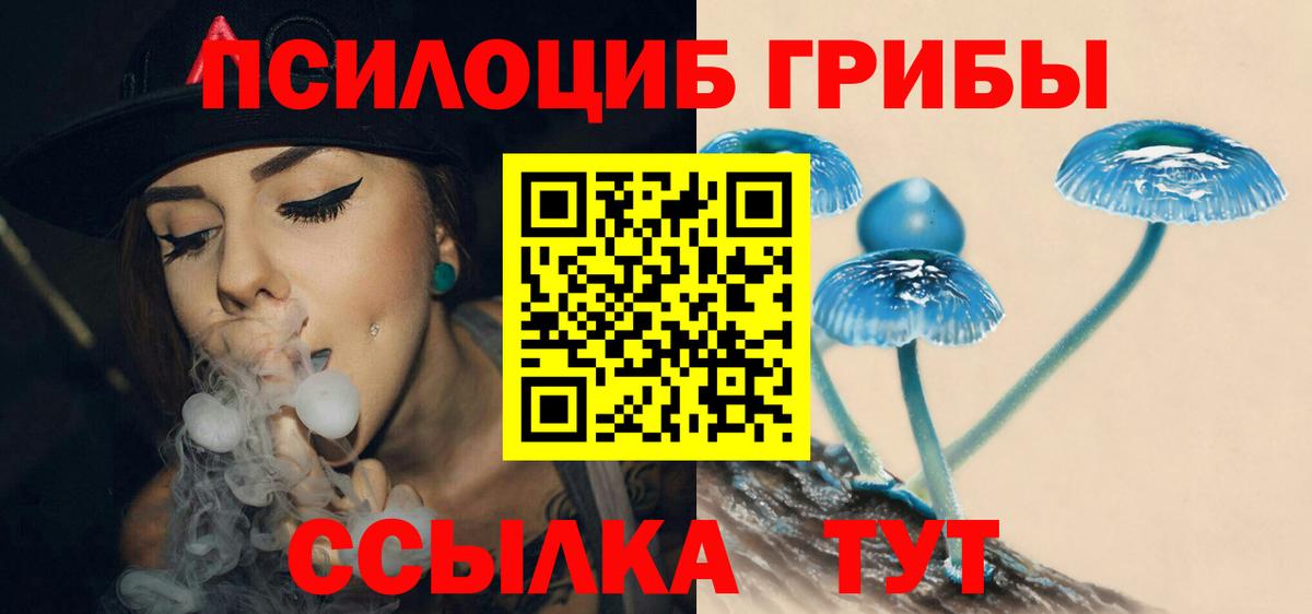 Балахна  Галлюциногенные грибы MAGIC MUSHROOMS  Вход с VPN 