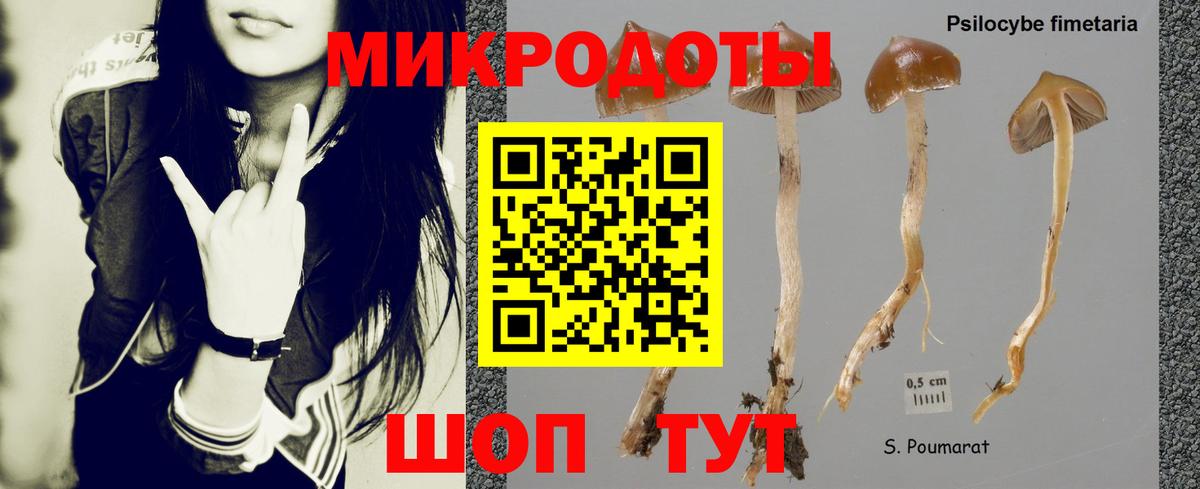 Галлюциногенные грибы Psilocybine cubensis Балахна